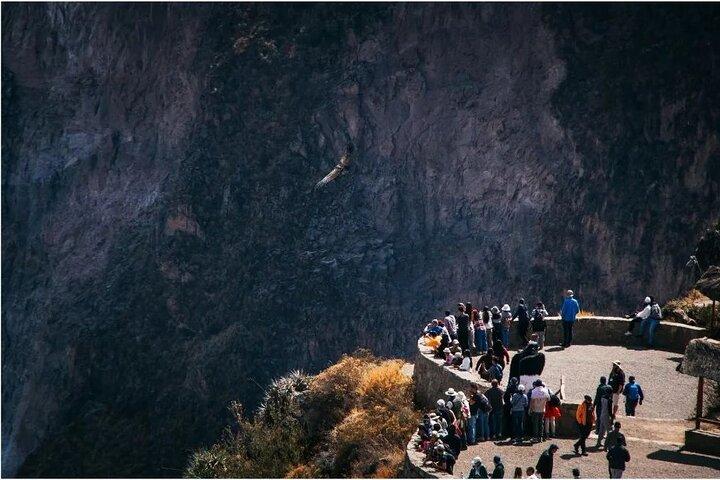 Explorez le canyon de Colca depuis Arequipa 2 jours et 1 nuit