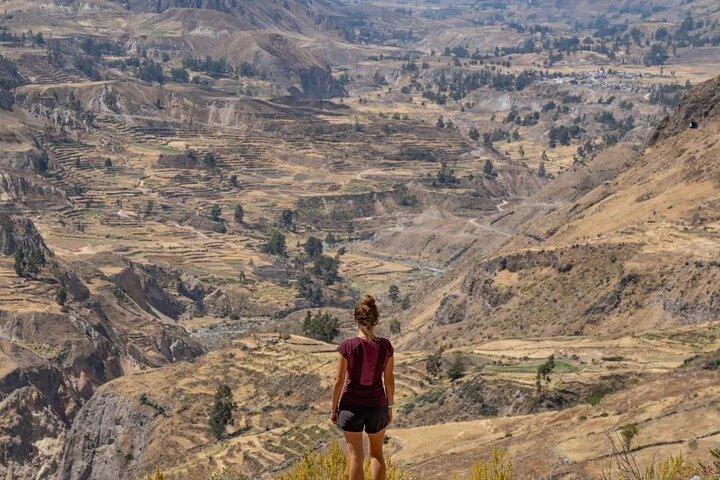 Esplora il Canyon del Colca da Arequipa 2 giorni e 1 notte
