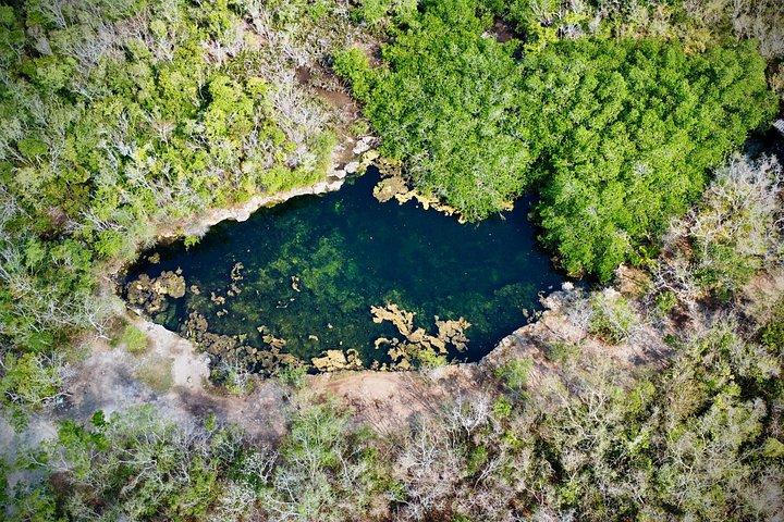 Cozumel: Discover Hidden Gems w/ Private guide