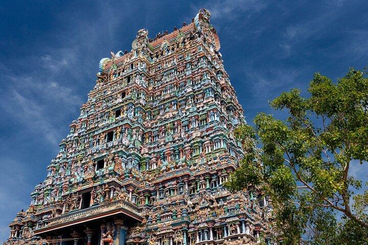 Private Chennai-Tagestour - Kunstgeschichte und zeitgenössisches Chennai