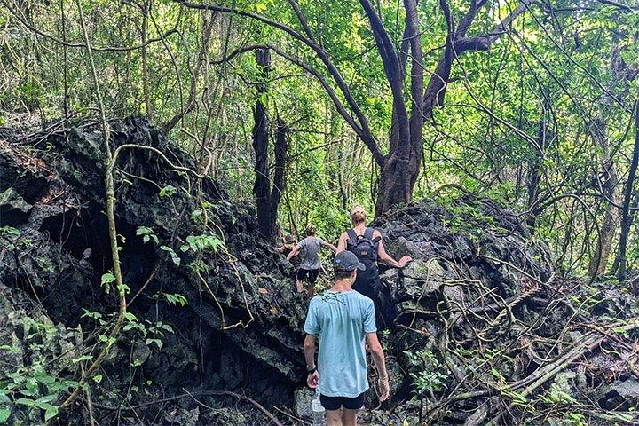 Aventura de dia inteiro no Parque Nacional Cat Ba saindo da cidade de Cat Ba