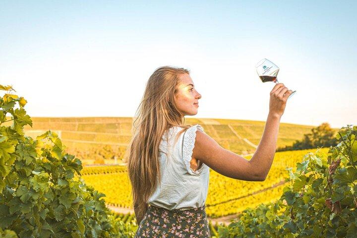 Sancerre Privé wijndag vanuit Parijs met 10 proeverijen en lunch