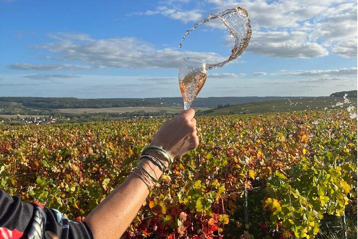 Dia do Vinho Privado Sancerre de Paris com 10 degustações e almoço
