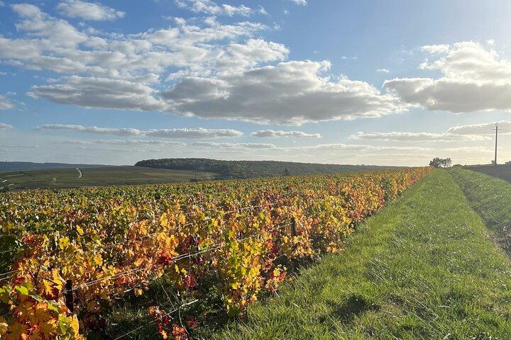 Dia do Vinho Privado Sancerre de Paris com 10 degustações e almoço