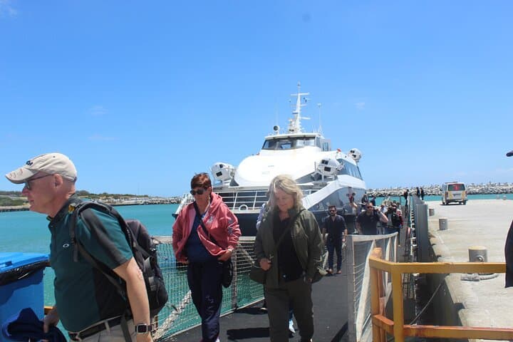 Visit Robben Island Museum in Cape Town