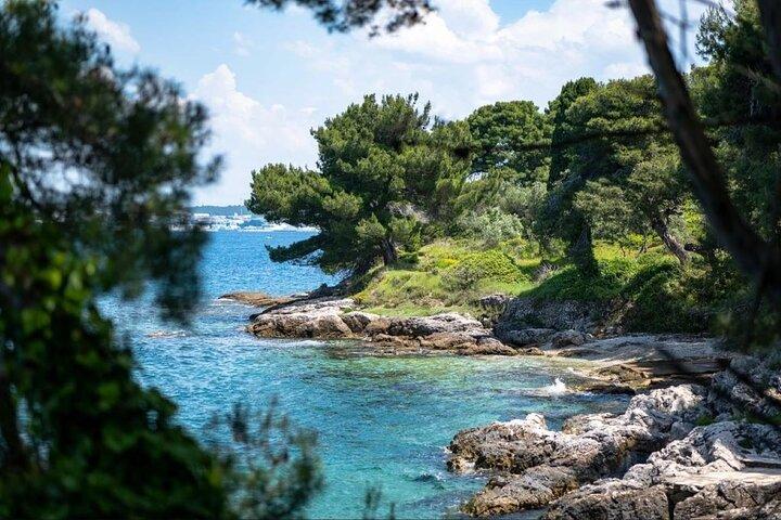 Vanaf Zadar Experience : snorkelen en eilandvibes op een speedboot