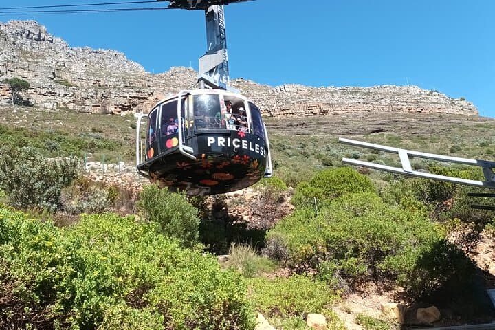 Robben Island and Table Mountain Experience