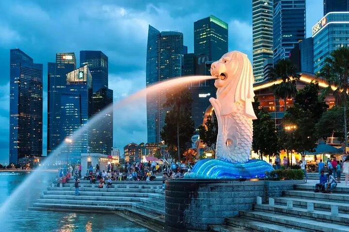 Visite privée de la nuit étoilée à Singapour et transferts aller-retour