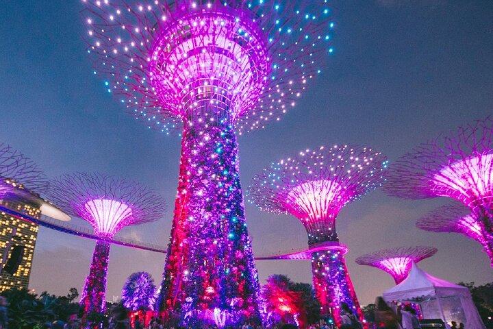 Visite privée de la nuit étoilée à Singapour et transferts aller-retour