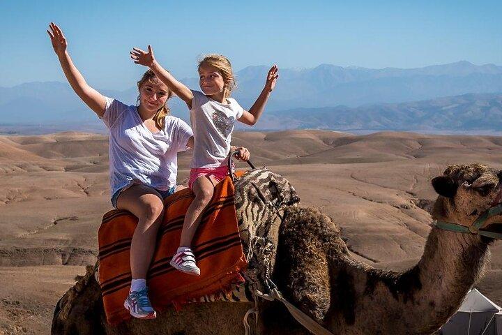 Dinner & Camel ride in Agafay Desert with transport