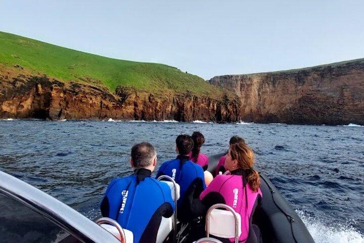 Île de Terceira : Excursion en bateau à Ilhéu das Cabras + plongée en apnée