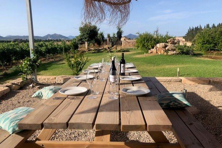 Visita guidata alla cantina Butxet