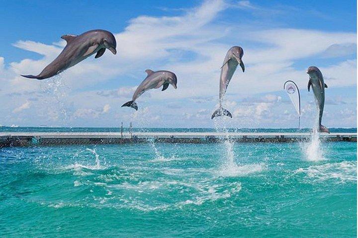 Catamaran Party in Punta Cana with Unlimited Drinks