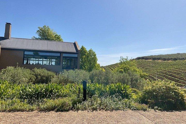 ケープタウンから： Franschhoek & Stellenboschワインテイスティングツアー