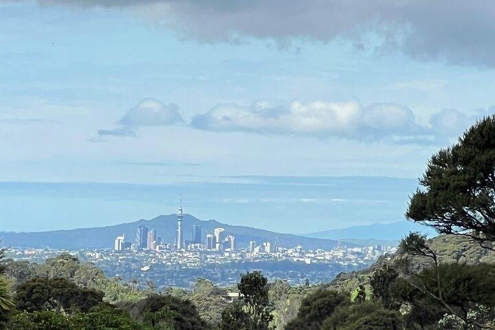 Private Driver For The Day From Auckland - Flexible Custom Tour