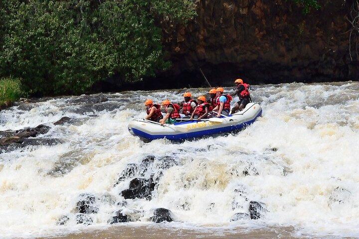 Forsränning och Zip Foder i Sagana River
