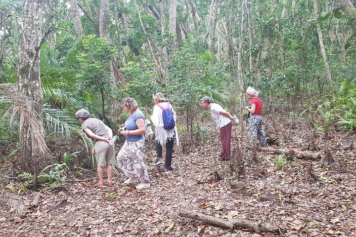 Bosque Jozani, Spice Farm, Stone Town y Prison Island