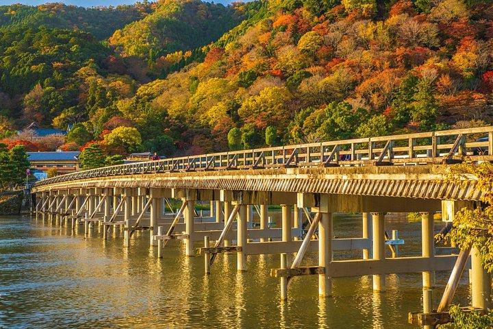 プレミアム嵐山竹林＆天龍寺＆禅ガーデンエスケープ