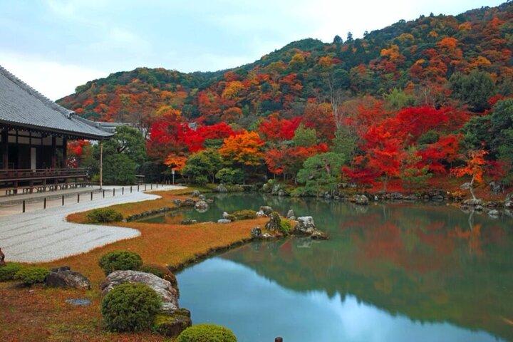 プレミアム嵐山竹林＆天龍寺＆禅ガーデンエスケープ