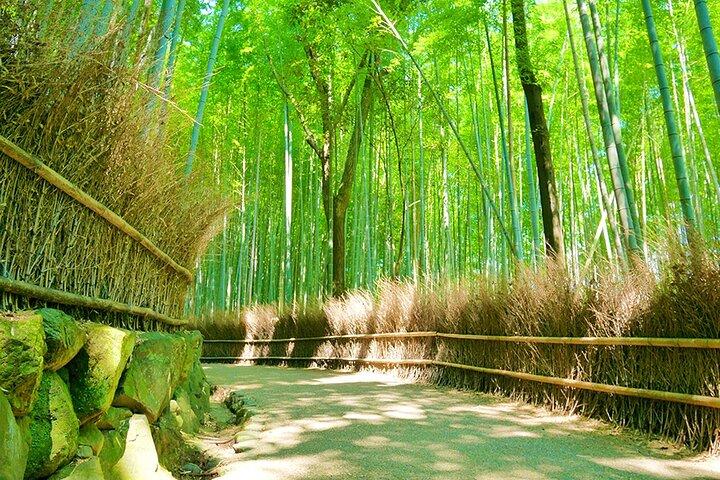 プレミアム嵐山竹林＆天龍寺＆禅ガーデンエスケープ