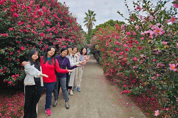 Visite privée personnalisée de Jeju - Est, Ouest ou Sud