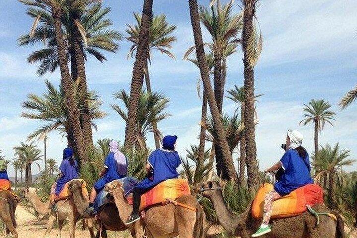 マラケシュ：パルメライエでの2時間のクワッドバイク＆ラクダ乗り