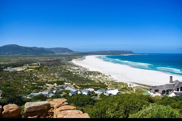 Cape Peninsula Table Mountain Penguin Colony Boulders