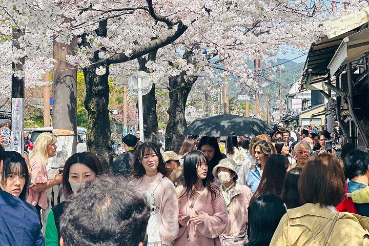 京都アドベンチャーズプライベート英語ツアー（ホテル送迎付き）