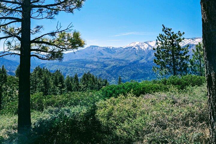 Escursione nella natura per famiglie intorno alla valle del Big Bear
