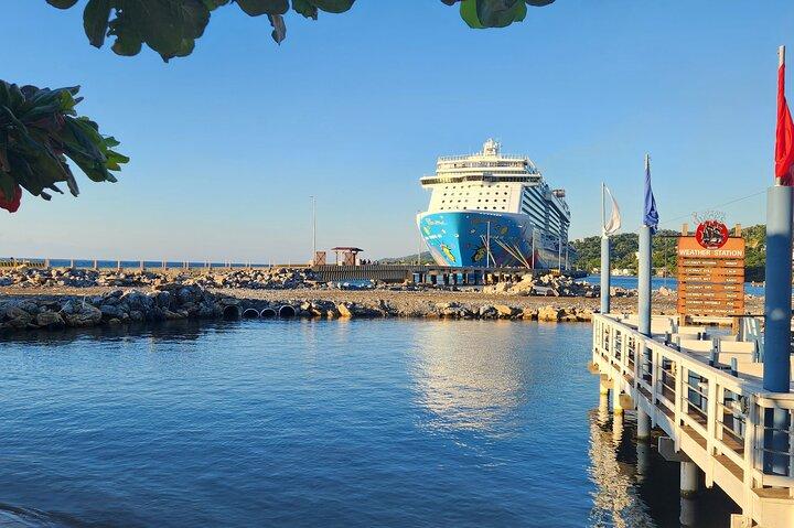 Roatan Zipline Adventure Luiaards & Monkey chocolade Sample Tour
