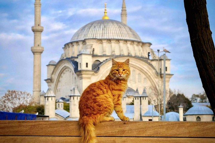 Discover Spectacular Istanbul: Self-Guided Audio Tour