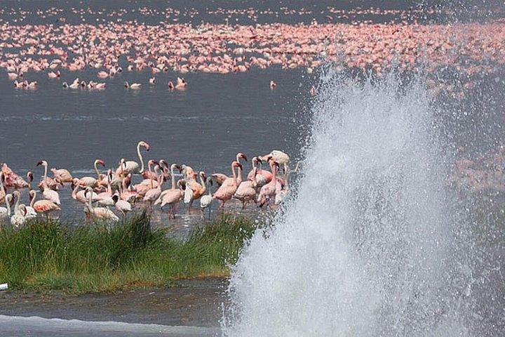 ナイロビ発バリンゴ湖へのプライベート日帰りツアー