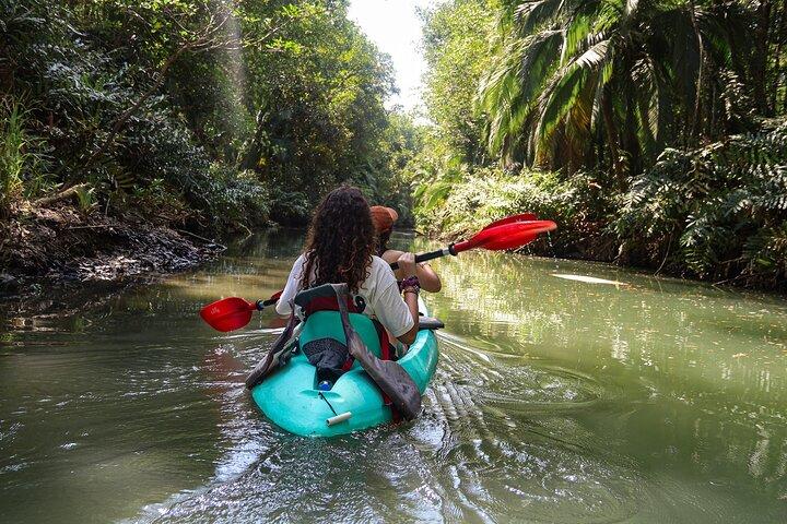 Tour in kayak alle mangrovie | Quepos & Manuel Antonio