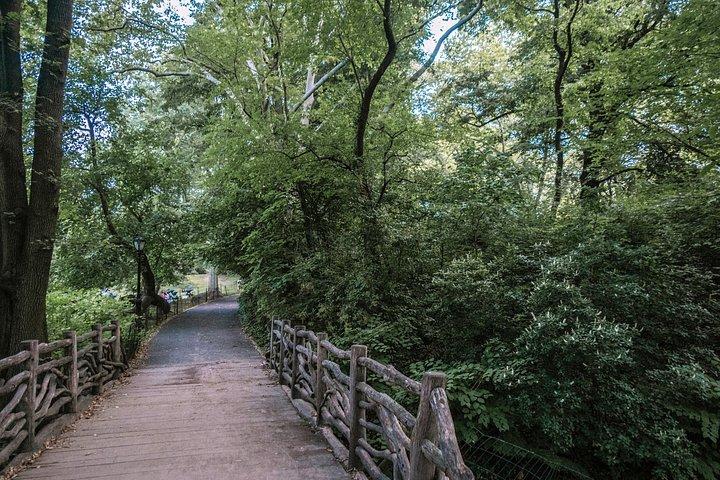 フランス語でセントラル パークの自転車ツアー - 映画