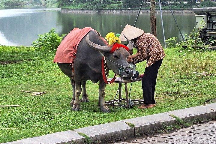 Ninh Binh Day Trip - lille gruppe på 12 guidet tur fra Hanoi