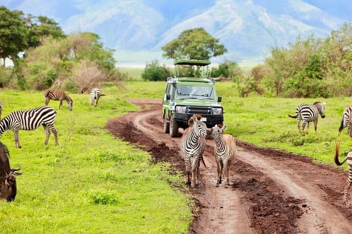 6 Day Best of Kenya and Tanzania Masai Mara Serengeti Ngorongoro