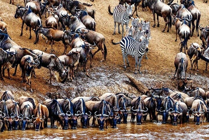 6 Day Best of Kenya and Tanzania Masai Mara Serengeti Ngorongoro