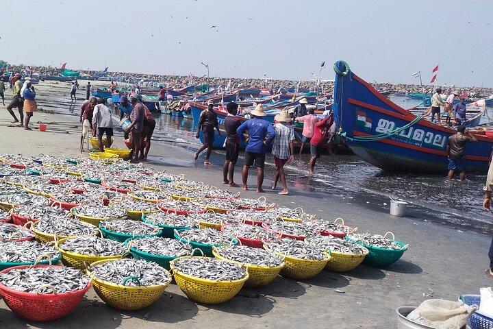 Kochi Fishing Village udflugt.