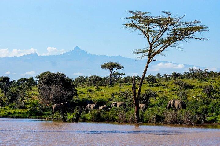 Aberdares National Park Luxury Lodge Safari 2 Days 1 Night Tour