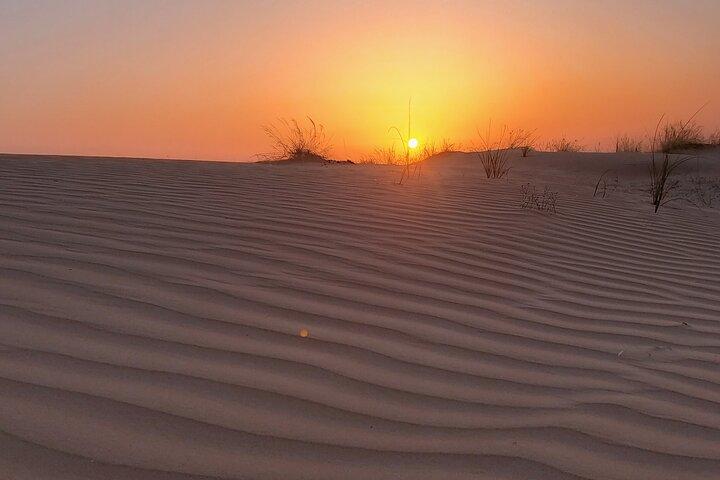 Safari partagé dans le désert de Dubaï avec dîner inclus