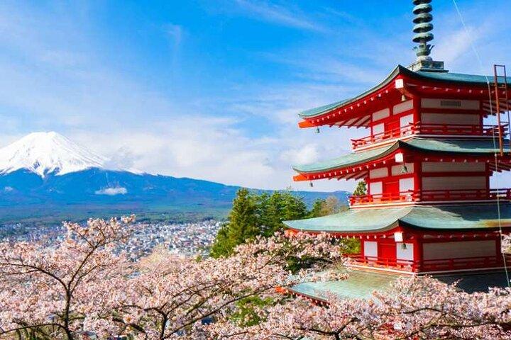 Tour esclusivo di un giorno al Monte Fuji e Oshino Hakkai da Shinjuku
