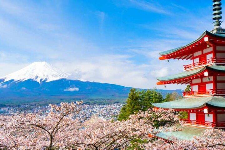 東京から富士山と忍野八海を巡る日帰りツアー
