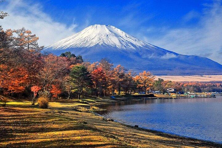 東京から富士山と忍野八海を巡る日帰りツアー