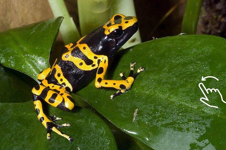 クラクフ：ホテル送迎付き動物園