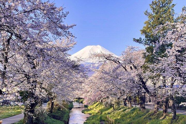 Excursão exclusiva de um dia ao Monte Fuji e Oshino Hakkai de Tóquio