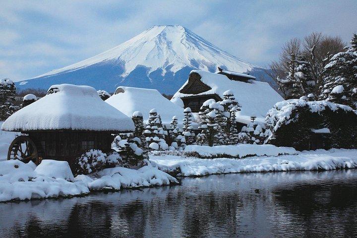 新宿から富士山と忍野八海を巡る日帰りツアー