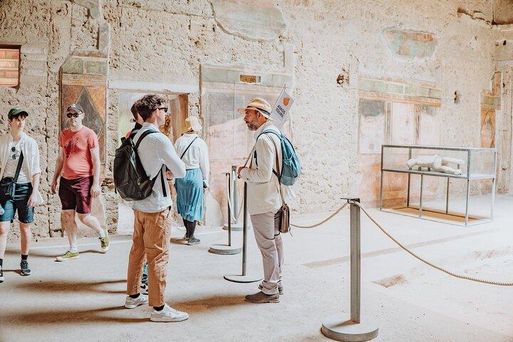 Pompeya y Oplontis: visita guiada en grupo con arqueólogo