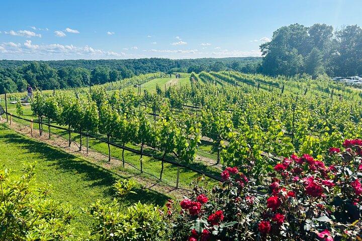 Dahlonega Wine & Dine privat tur fra Atlanta