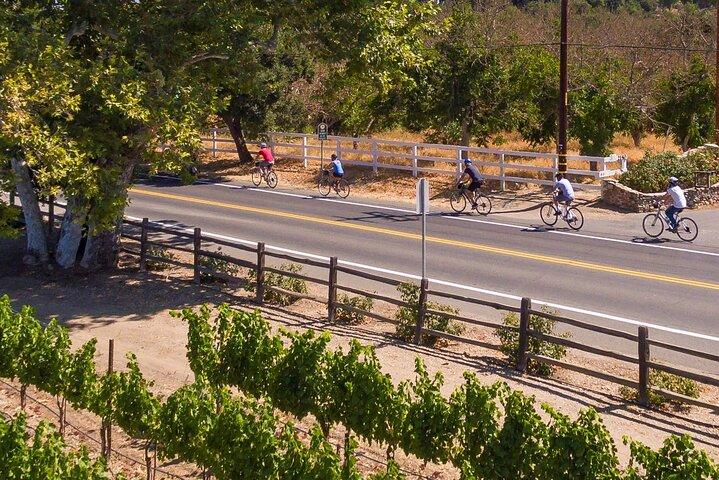 Tour guiado en bicicleta eléctrica Wine Country - sin almuerzo