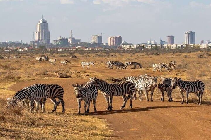 Nairobi National Park and Giraffe Center from Kenya with a Guide